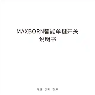 MAXBORN 智能单键开关